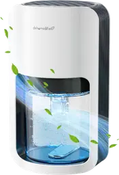 QEXREED Luftentfeuchter 1200 ml